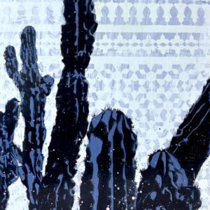 Where Desert Meets Sky